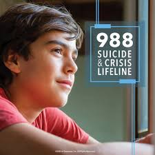 Bloomington Meadows Hospital