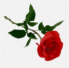 Photoshop fiori overlay gratis #10 colorful nature please select: Rose Rose Gratis Icone Del Computer Tagliare I Fiori Png Pngegg