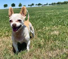 Fundraiser for Derek Sundquist by Kari King Fox : Help Derek Sundquist  rebuild and recover