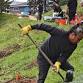 Milkweed Planting at Peck Park Canyon event image