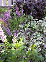 Exquisite Purple And White Flower Combinations For Your Garden Purple Garden Container Gardening Flowers Purple And White Flowers