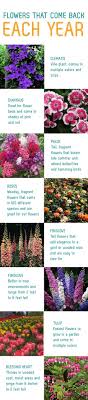Great quality & value · 7 day freshness guarantee Flowers That Come Back Every Year Plants Planting Flowers Flower Beds
