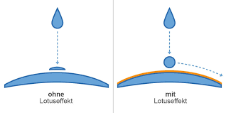 1 wahrig fremdwörterlexikon „lotoseffekt auf wissen.de. Lotuseffekt