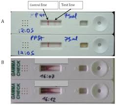 A negative lfd test is not a guarantee that you do not have coronavirus. Ifng Lateral Flow Test A Initial Results At Tulip With Clearly Download Scientific Diagram