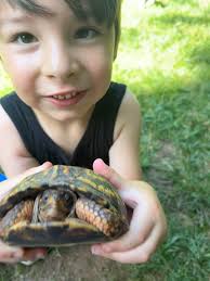 I love this picture 🖤♠️🏴🐦‍⬛♣️♟️