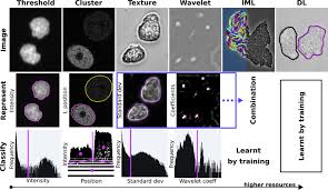 Listen free fly fm 95.8 online station live stream from malaysia. Bioimage Analysis And Cell Motility Sciencedirect