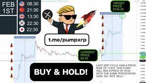 Xrp is nothing but the digital currency used at digital payment platform named ripplenet owned by company ripple. Is Xrp Worth Buying Reddit