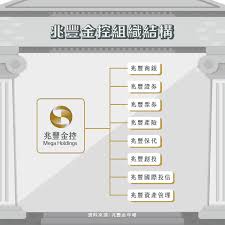 The site owner hides the web page description. å…†è±é‡' 2886 åœ°ä½ç‰¹æ®Šçš„å®˜è‚¡é‡'æŽ§ Stockfeel è‚¡æ„Ÿ