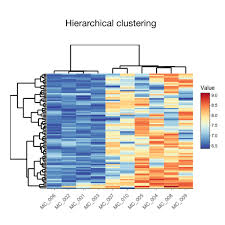 Image result for bioinformatics heatmap