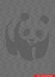 they say 90 can t see what s in this picture when i saw it i felt so dumb 隠し絵 錯視 トリック写真