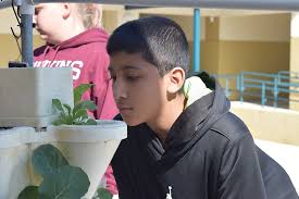 Hydroponic garden leads to student growth
