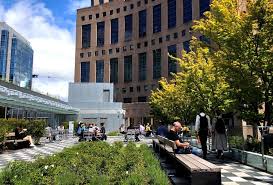 Fotografía de fairmont waterfront, vancouver: Vancouver Public Library Wins Prestigious Marketing Award For Garden Campaign Vancouver Public Library