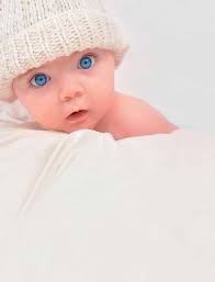 Quality of Life Guide