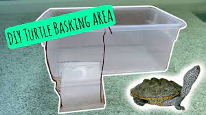 It gives your turtles a spacious basking area while ensuring they are safe. Turtle Basking Area Diy Cheap And Easy Youtube