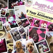 Pet day spa near me. Doggy A Gogo Pet Day Spa Self Wash 31 Photos 17 Reviews Pet Groomers 36 East Ave Riverside Il Phone Number