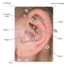 Cool Pierceings Ear Jewelry Industrial Helix Tragus