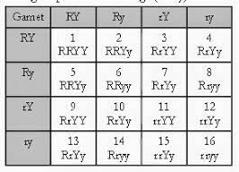 We did not find results for: Biologi Gonzaga Soal Ipa Pewarisan Sifat Kelas 9 Smstr 2