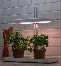 It is recommended to keep the light source at least 3″ away from the top of the plant if you are using an led or fluorescent lamp and 6″ or more for incandescent or halogen lights. Tabletop Led Grow Light Lee Valley Tools