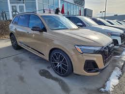 Image result for Vicuna Beige 2022 Q8