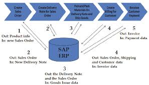 Information Flow In And Out Of The Erp System When Running