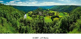 Pin En Surprising Wallonia