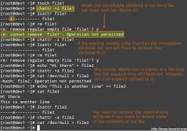 Mar 07, 2019 · check linux file permissions with ls ls command. Managing Users Groups File Permissions Attributes And Enabling Sudo Access On Accounts Part 8