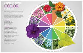 The Color Wheel In Plants Color Schemes Purple Plants Types Of Color Schemes