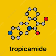 Image result for Mydriatic