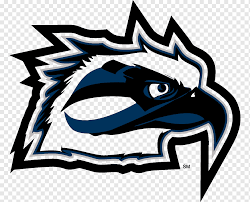 Seattle seahawks logo, seattle seahawks logo, sports, nfl football png. Broward College Foundation Seattle Seahawks Sport Seattle Seahawks Sport Logo Vertebrate Png Pngwing
