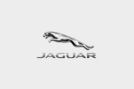 Usando um dispositivo de relogio inteligente carro logos e marcas de carros populares mini nissan opel mercedes benz lamborghini jaguar jeep infiniti. 7 Logos De Coches Con Animales Autocasion