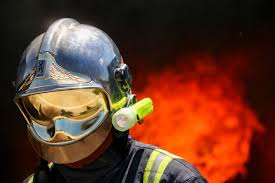 Photo Meuse : un chat retrouv mort aprs un incendie  Bar-le-Duc