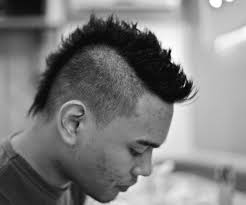 Frisuren Fur Manner Mit Schutterem Haar Glatte Haare Manner Irokese Irokesenschnitt Manner