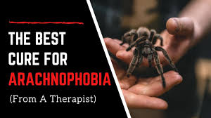 Even with a slightest hint of the presence of these ugly creatures in the nearby vicinity is enough to. The Best Cure For Arachnophobia From A Therapist