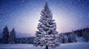 Browse 991,307 snowy winter stock photos and images available, or search for snowy winter scene or. Beautiful Snow Scene Hd1080p Youtube