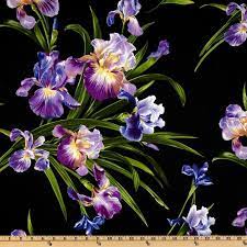 Michael Miller Primavera Iris Black From Fabricdotcom From Michael Miller This Fabric Is Perfect For Quilt Michael Miller Fabric Iris Flowers Fabric Flowers