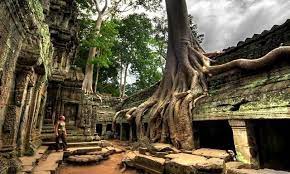 Qua bài giảng tập đọc tập đọc: Cung Google Street View Viáº¿ng ThÄƒm Ä'á»n Angkor Wat