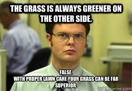 Image result for lawn meme