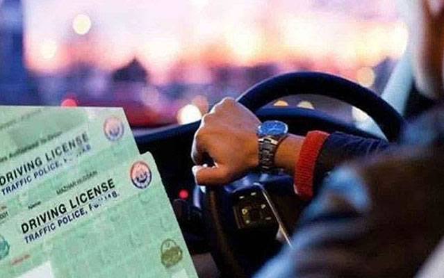 Punjab Driving Licence