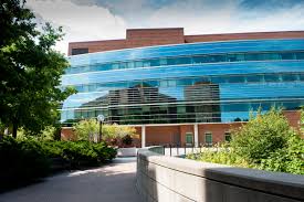 Veteran Perspectives