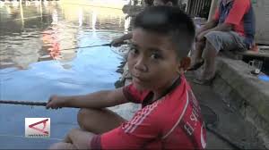 Sensasi Memancing Lele Ukuran Jumbo Youtube