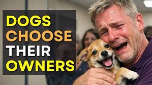 Abby enjoying her new bagel