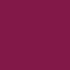 Image result for Dark Garnet Red 2001 Neon