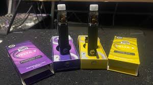 KOI Delta 8 Disposable Review - Smooth and Satisfying