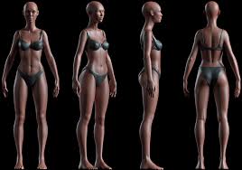 See your 3d body shape from measurements. Realistic Human Basemesh Rigged Uvmapped Woman Body 3d Modell In Frau 3dexport