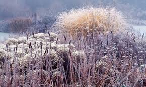 Gardens Batten Down The Hatches Winter Garden Spring Sign Garden Beds