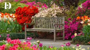 They feature fun puzzles of all types that'll keep you entertained. Why Not Enjoy The Arboretum Virtually With Tours Zoom Backgrounds And Jigsaw Puzzles My Sweet Charity