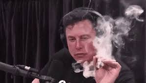 Political pressure behind tesla's decision. Elon Musk Gifs Tenor