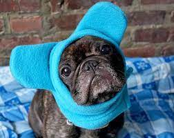 Browse Unique Items From Snorfindustries On Etsy A Global Marketplace Of Bulldog Bat Ears Dog Needs