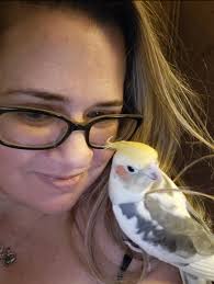 Hi new to the group ! Meet My two Timnehs Oscar and cookie and my two AG  Lilly and Buckey.