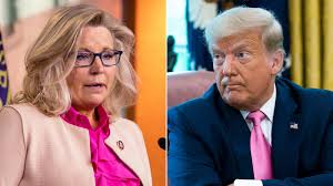 'this is a vote of conscience'. Liz Cheney No 3 House Republican To Vote To Impeach Trump